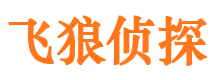 回民飞狼私家侦探公司